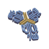 binsadiq.international-logo